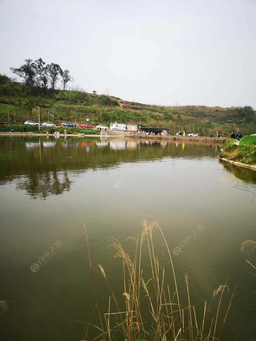 重庆主城哪里有野河可以钓鱼?重庆按天收费的钓场-图2 重庆主城哪里有野河可以钓鱼?重庆按天收费的钓场-图2