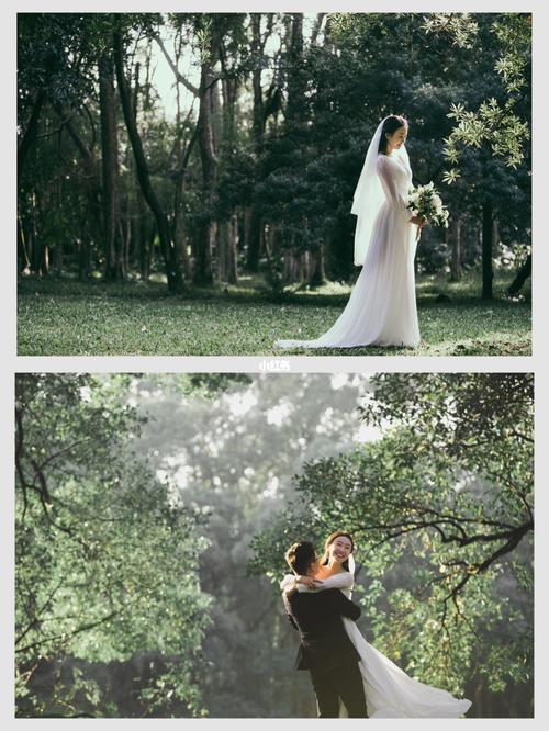 十月份哪里拍婚纱照最漂亮?华南植物园拍婚纱照是否另外收费-图2 十月份哪里拍婚纱照最漂亮?华南植物园拍婚纱照是否另外收费-图2