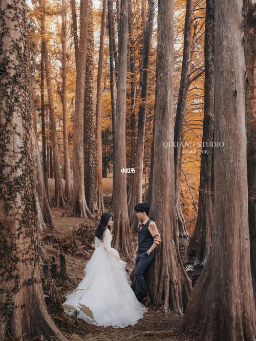 十月份哪里拍婚纱照最漂亮?华南植物园拍婚纱照是否另外收费-图3 十月份哪里拍婚纱照最漂亮?华南植物园拍婚纱照是否另外收费-图3