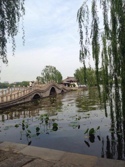 2021年大明湖十一免费景点?大明湖 收费吗-图3 2021年大明湖十一免费景点?大明湖 收费吗-图3