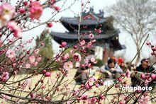 梅花山门票需要身份证吗？东湖梅园收费吗