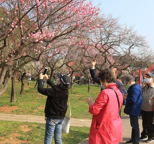 梅花山门票需要身份证吗?东湖梅园收费吗-图2 梅花山门票需要身份证吗?东湖梅园收费吗-图2