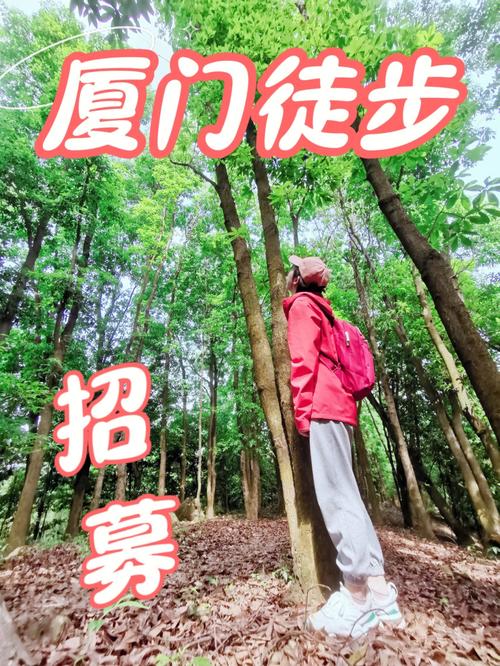 厦门植物园徒步最佳路线?厦门徒步一族要收费嘛-图3 厦门植物园徒步最佳路线?厦门徒步一族要收费嘛-图3