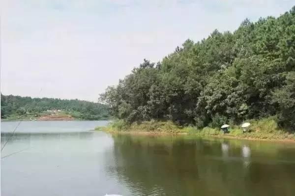 成都高新区有哪个水库可以钓鱼？成都永安水库钓鱼收费