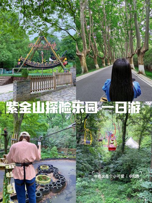 南京紫金山探险公园要门票吗?南京著名的景点收费吗-图2 南京紫金山探险公园要门票吗?南京著名的景点收费吗-图2