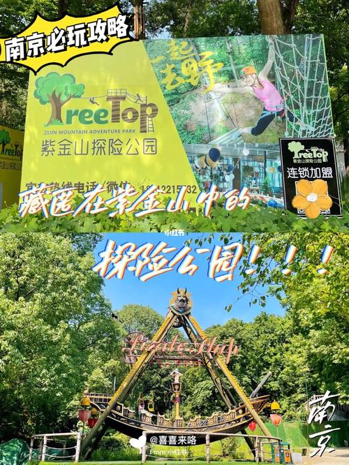 南京紫金山探险公园要门票吗?南京著名的景点收费吗-图3 南京紫金山探险公园要门票吗?南京著名的景点收费吗-图3