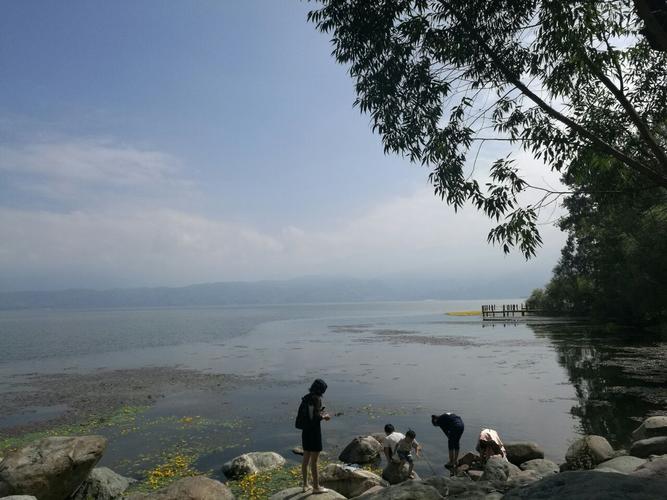 去邛海玩哪里停车最好?邛海湿地三期收费-图3 去邛海玩哪里停车最好?邛海湿地三期收费-图3