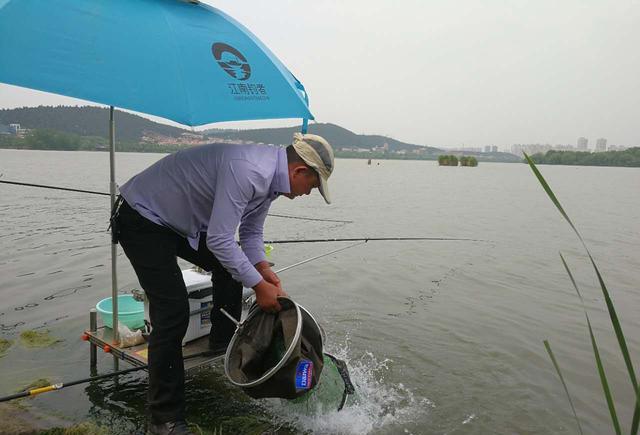 元荡湖可以钓鱼吗?去淀山湖玩收费吗-图1 元荡湖可以钓鱼吗?去淀山湖玩收费吗-图1