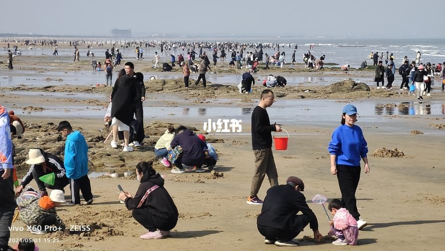 斜口岛赶海怎么收费?收费岛是什么-图1 斜口岛赶海怎么收费?收费岛是什么-图1