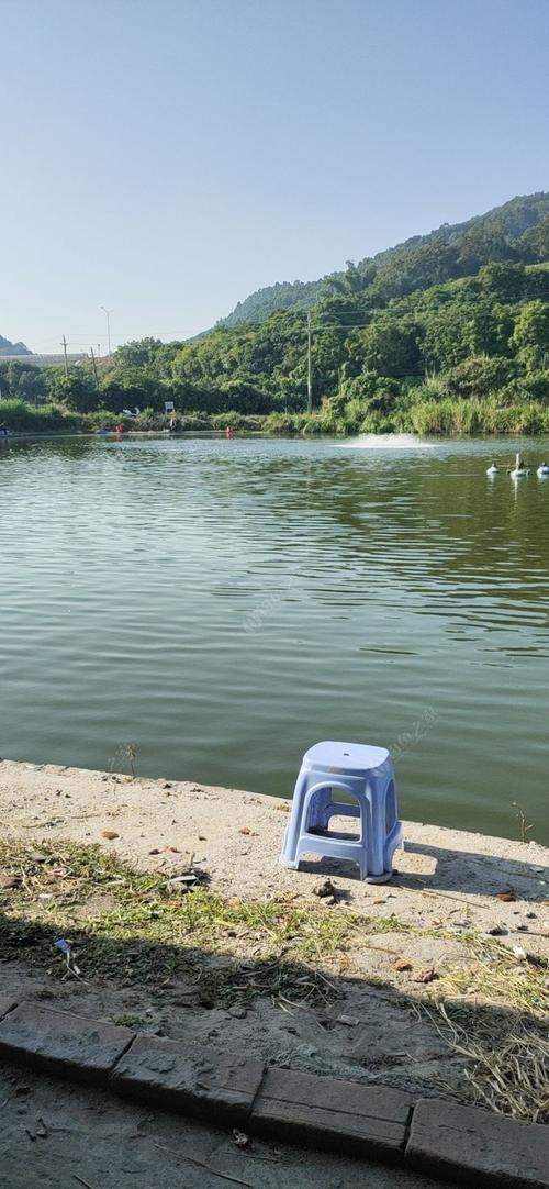 65岁免费钓鱼地点?太和钓鱼收费-图3 65岁免费钓鱼地点?太和钓鱼收费-图3
