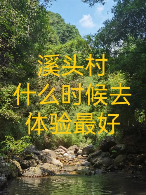 在广州怎么去溪头村?溪头村收费吗-图2 在广州怎么去溪头村?溪头村收费吗-图2