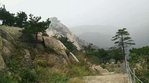 金兰山海拔多少米?新县金兰山收费吗-图2 金兰山海拔多少米?新县金兰山收费吗-图2