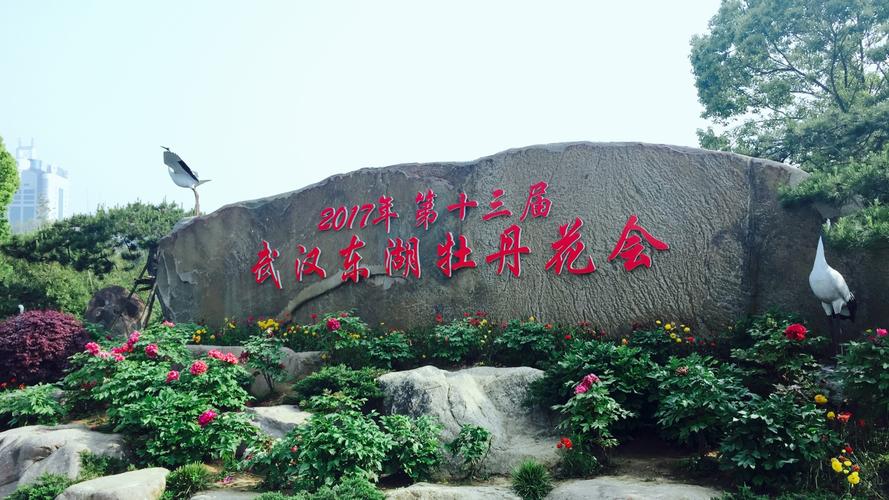 武汉东湖风景区要门票吗?东湖牡丹园是否收费吗-图2 武汉东湖风景区要门票吗?东湖牡丹园是否收费吗-图2