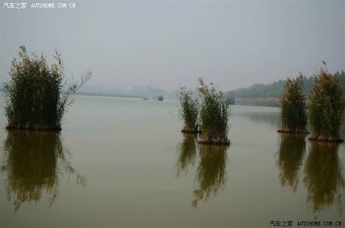 封丘青龙湖要门票吗?封丘青龙湖钓鱼收费吗-图1 封丘青龙湖要门票吗?封丘青龙湖钓鱼收费吗-图1