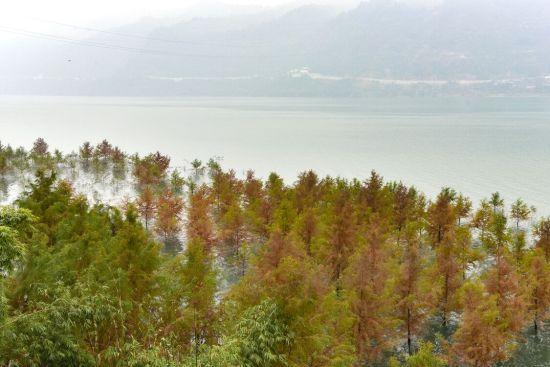 寒山岭风景区介绍?万州区龙安水库收费吗-图2 寒山岭风景区介绍?万州区龙安水库收费吗-图2