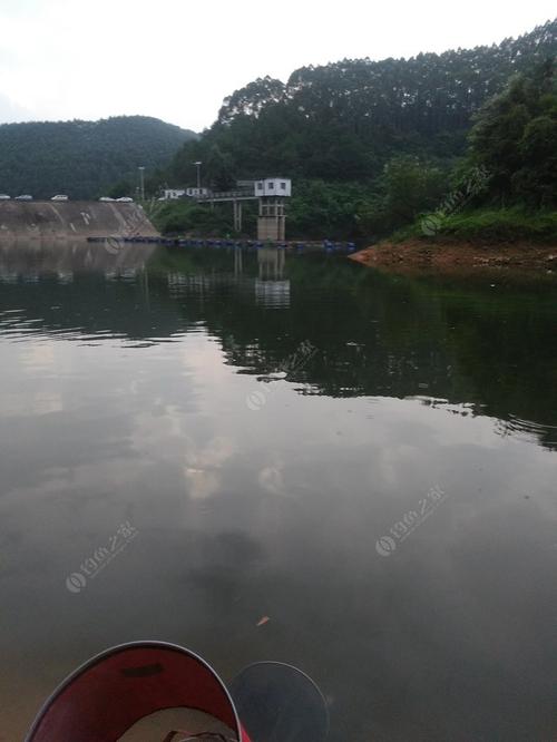 请问自贡哪些水库钓鱼是不收费的，谢谢？香港浅水湾海滩收费吗