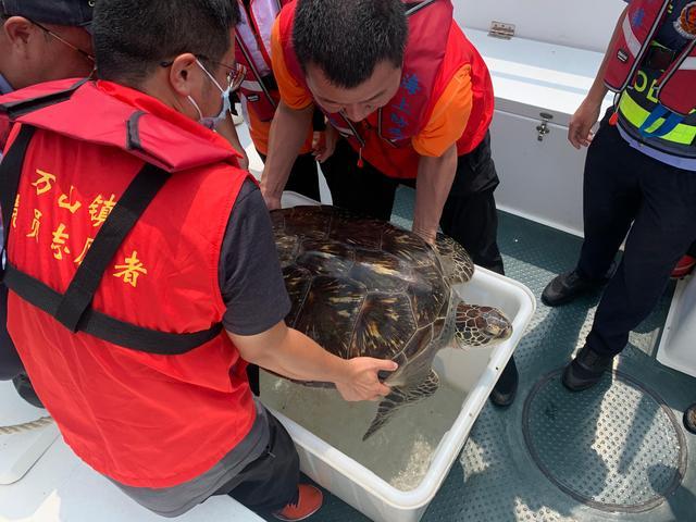 怎么加入海洋动物救援？户外救援收费吗