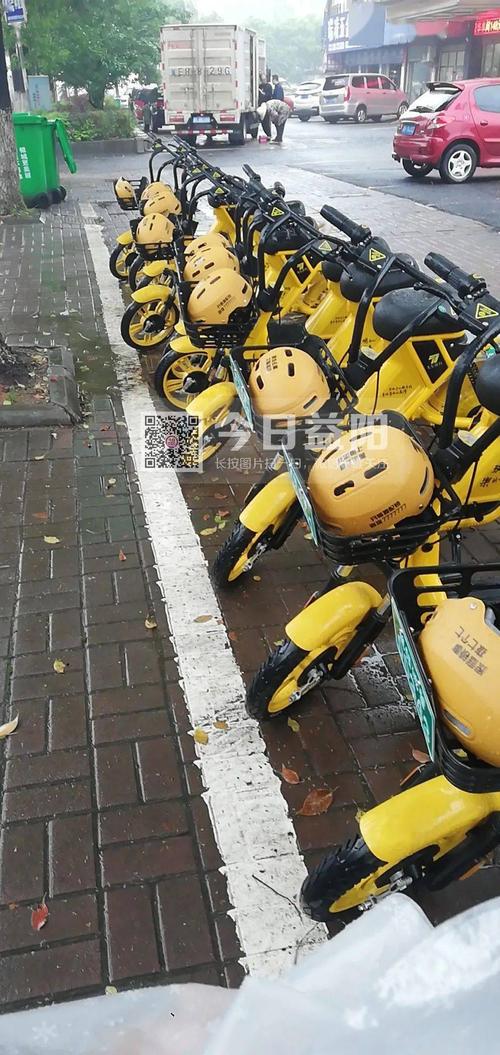 怎样才能消灭家中的黄蚂蚁?景洪小黄车怎么收费-图2 怎样才能消灭家中的黄蚂蚁?景洪小黄车怎么收费-图2