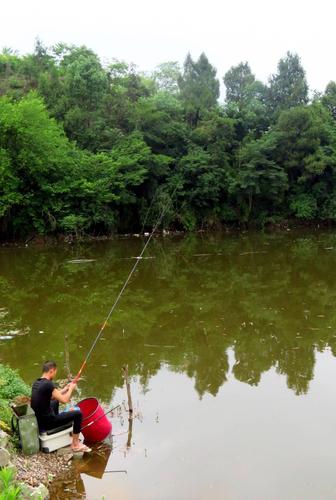 成都龙泉驿三岔河钓鱼咋样?龙泉水库钓鱼收费标准-图3 成都龙泉驿三岔河钓鱼咋样?龙泉水库钓鱼收费标准-图3