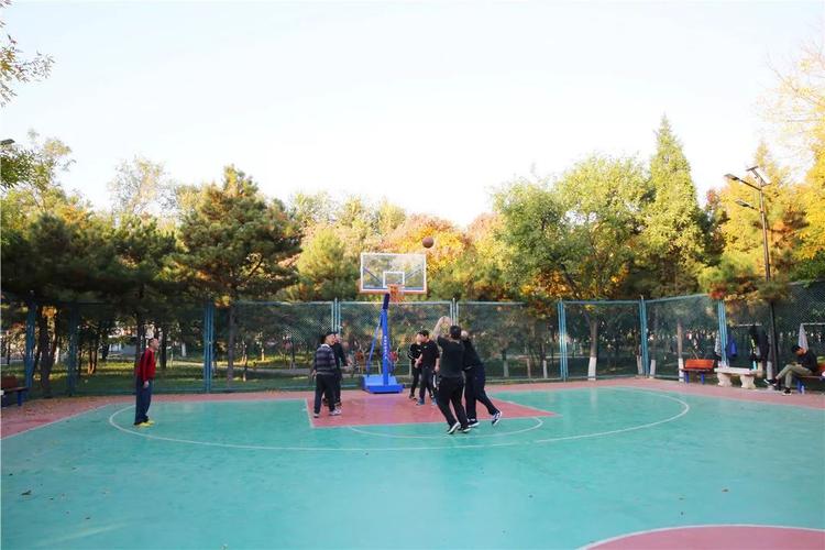 双流白河公园有篮球场吗?双流白河湿地公园收费-图3 双流白河公园有篮球场吗?双流白河湿地公园收费-图3
