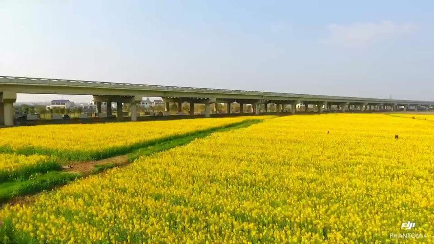 历史文化名镇保护有哪些地方？望城宝丰农场收费