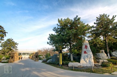 西安中国唐苑在哪里?坐几路公交车可以去？西安石羊农庄收费-图3