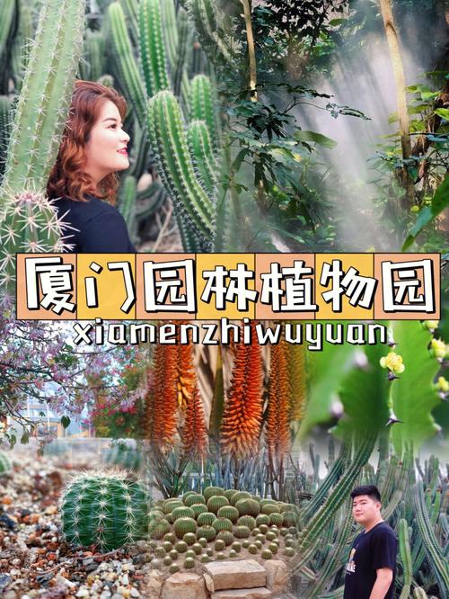 厦门植物园门票免票规则?厦门植物园收费吗-图3 厦门植物园门票免票规则?厦门植物园收费吗-图3