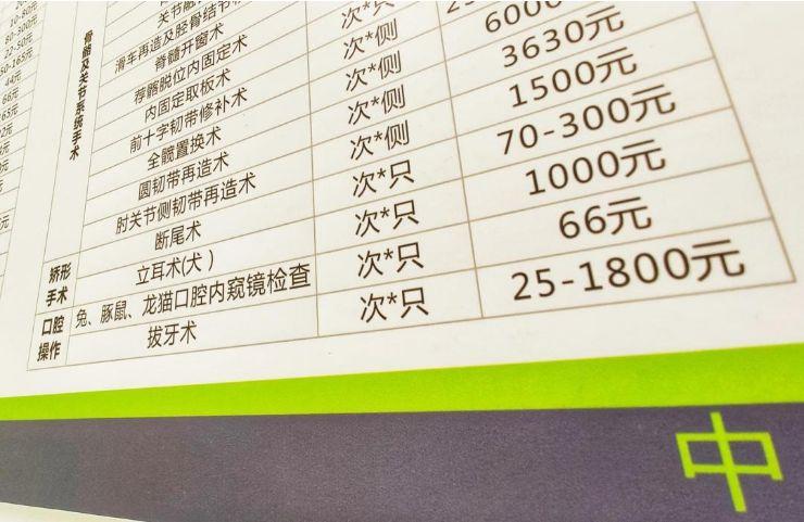 重庆洗牙多少钱?是几十还是几百,难道要上千么?重庆洗牙怎么收费-图3 重庆洗牙多少钱?是几十还是几百,难道要上千么?重庆洗牙怎么收费-图3