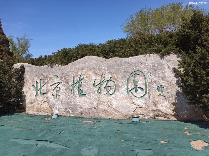 北京植物园游览路线?北京植物园停车场 收费-图3 北京植物园游览路线?北京植物园停车场 收费-图3