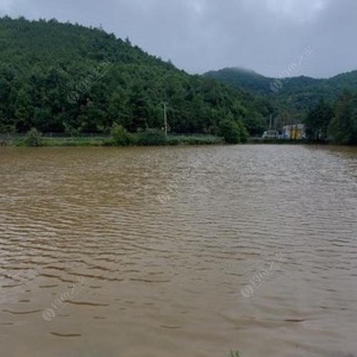 昆明称斤钓鱼的地方?钓鱼场按斤收费好吗-图3 昆明称斤钓鱼的地方?钓鱼场按斤收费好吗-图3