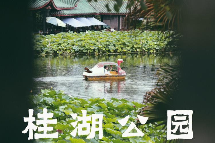 桂湖公园名字的由来是什么?有什么传说?桂湖公园为什么收费-图2 桂湖公园名字的由来是什么?有什么传说?桂湖公园为什么收费-图2
