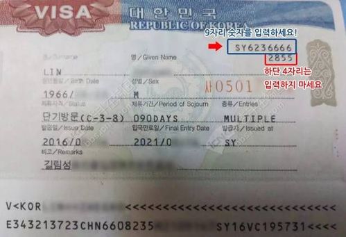 去韩国旅游流水账要多少?韩国签证收费标准-图3 去韩国旅游流水账要多少?韩国签证收费标准-图3