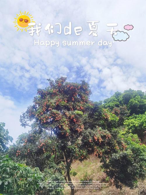 深圳哪里有荔枝摘?横岗天下第一农庄收费-图3 深圳哪里有荔枝摘?横岗天下第一农庄收费-图3