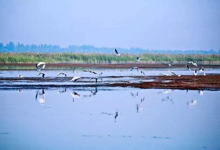 衡水湖和衡水湖湿地公园是一个吗？冀州森林公园收费吗