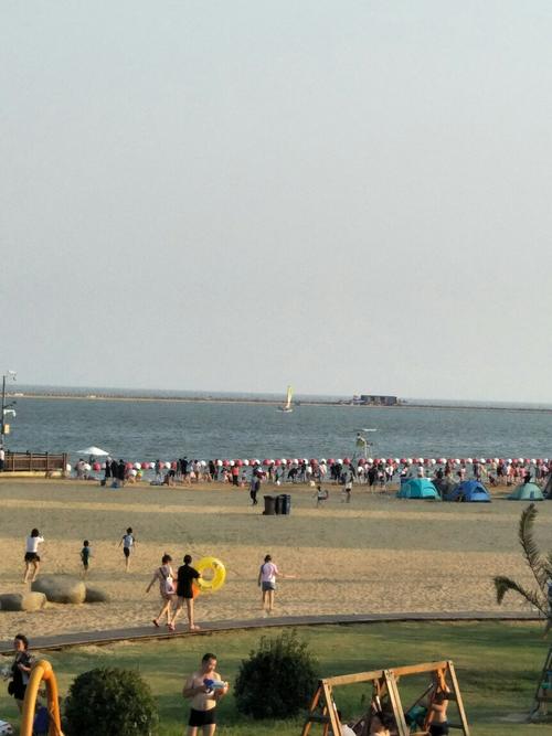 金山海边沙滩是什么海?金山石化海滩收费吗-图2 金山海边沙滩是什么海?金山石化海滩收费吗-图2