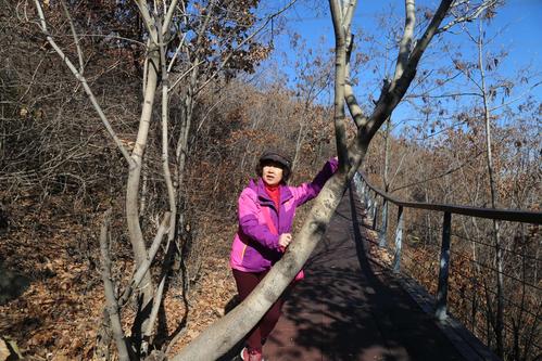 在鞍山,下午休息能去哪儿玩?乾隆绿道收费吗-图3 在鞍山,下午休息能去哪儿玩?乾隆绿道收费吗-图3