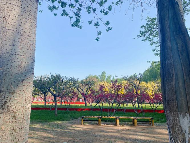 秦皇岛市有什么大型公园？秦皇岛植物园收费吗