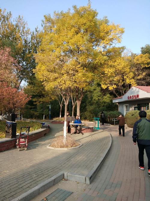 秦皇岛市有什么大型公园?秦皇岛植物园收费吗-图2 秦皇岛市有什么大型公园?秦皇岛植物园收费吗-图2