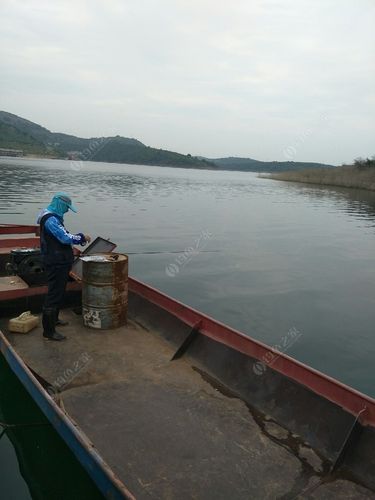 丹江水库钓鱼地点推荐？十堰市收费钓鱼地方