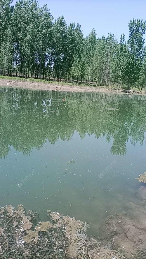 许昌钓鱼的地方有哪些?禹州钓鱼收费有没-图3 许昌钓鱼的地方有哪些?禹州钓鱼收费有没-图3