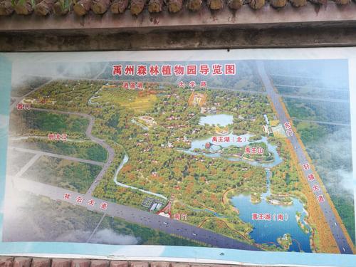 禹州植物园门票多少儿童要吗?禹州有几个收费站-图3 禹州植物园门票多少儿童要吗?禹州有几个收费站-图3