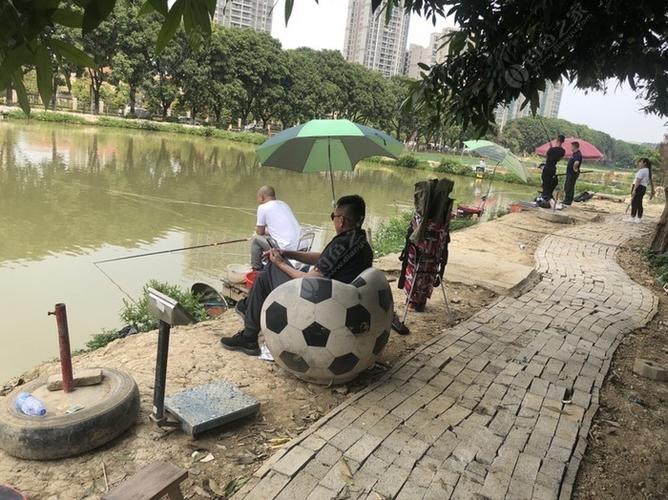 各位在深圳的钓友,深圳有哪些地方可以钓鱼的?正规一点的?笔架山钓鱼场怎么收费-图2 各位在深圳的钓友,深圳有哪些地方可以钓鱼的?正规一点的?笔架山钓鱼场怎么收费-图2
