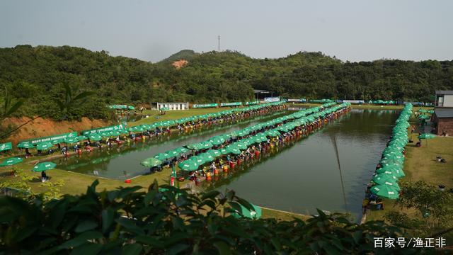 各位在深圳的钓友,深圳有哪些地方可以钓鱼的?正规一点的？笔架山钓鱼场怎么收费