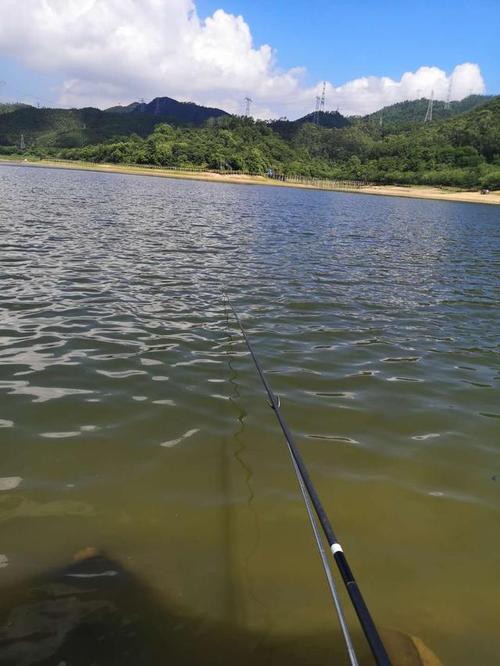 各位在深圳的钓友,深圳有哪些地方可以钓鱼的?正规一点的?笔架山钓鱼场怎么收费-图3 各位在深圳的钓友,深圳有哪些地方可以钓鱼的?正规一点的?笔架山钓鱼场怎么收费-图3