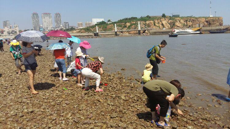 锦州赶海时间？笔架山水库钓鱼收费吗