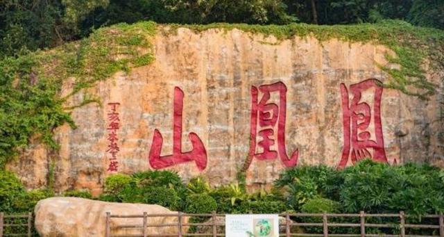 潮州凤凰山要门票的吗?潮州凤凰山要收费吗-图2 潮州凤凰山要门票的吗?潮州凤凰山要收费吗-图2