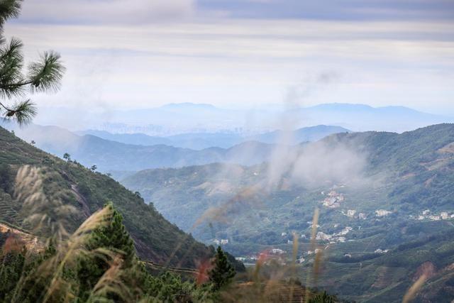 潮州凤凰山要门票的吗?潮州凤凰山要收费吗-图3 潮州凤凰山要门票的吗?潮州凤凰山要收费吗-图3