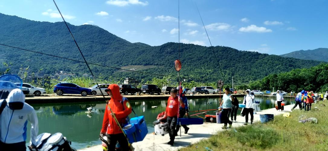 松果水库鱼情怎么样?英山不收费吊鱼的地方-图3 松果水库鱼情怎么样?英山不收费吊鱼的地方-图3