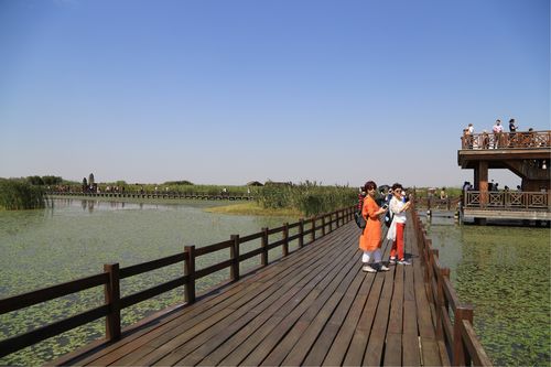 杭州湾湿地公园攻略?悠游卡下车收费-图2 杭州湾湿地公园攻略?悠游卡下车收费-图2