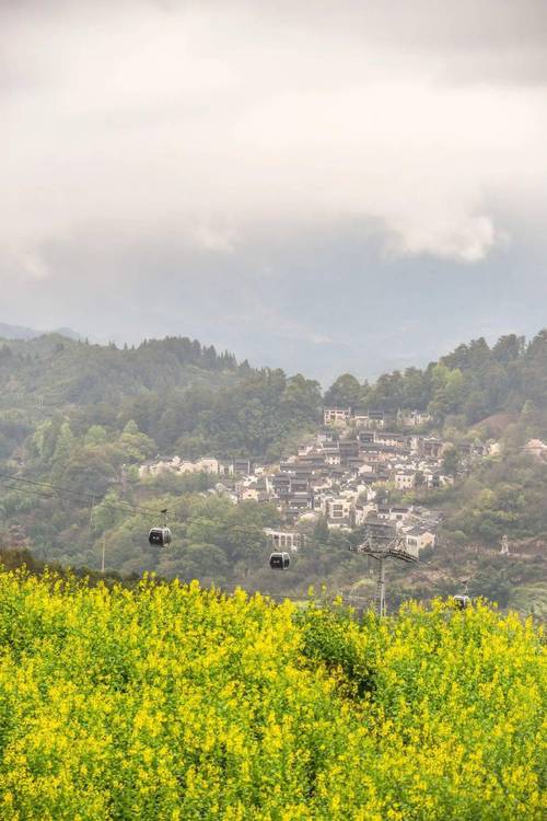 篁岭导游证免门票吗?有导游证坐索道收费吗-图3 篁岭导游证免门票吗?有导游证坐索道收费吗-图3